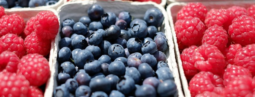 borovnice-maline-voce